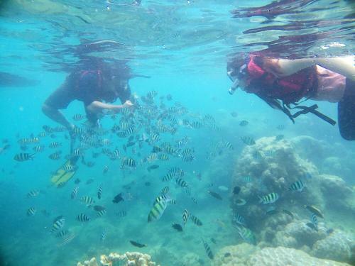 Hostal Royal Mermaid