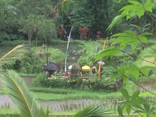 Bed & Breakfast Dasa Vayu Cottage