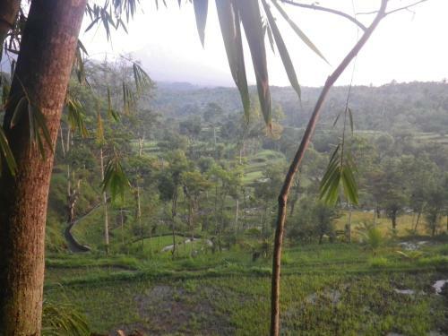 Tetebatu Indah Homestay