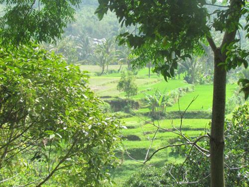 Tetebatu Indah Homestay
