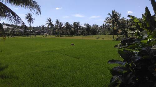 Hostal Matra Bungalows