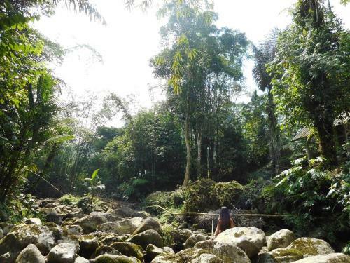Tegal Jero Homestay