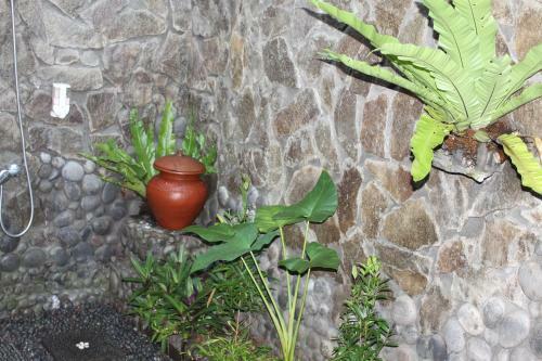 Tegal Jero Homestay