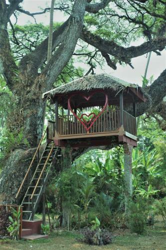 Bintang Laut Resort