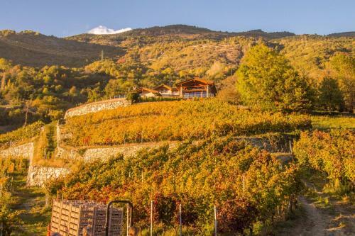 Agroturismo Agriturismo Les Granges