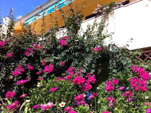 B&B Torre Del Pozzo