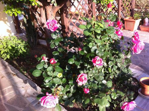B&B Torre Del Pozzo
