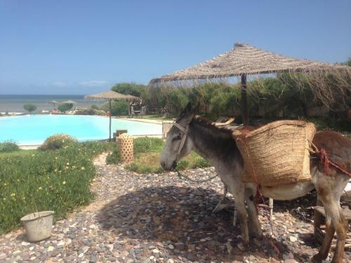 Hotel Dar Danse