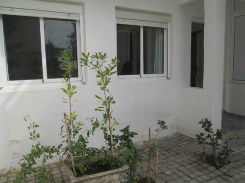 Hostal Malak Tingis