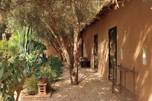 Bed & Breakfast Dar Al Hossoun
