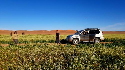 Sahara Luxury Camp M'hamid