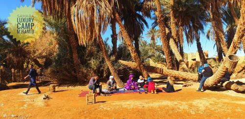 Sahara Luxury Camp M'hamid