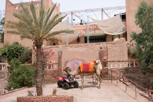 Hotel Kasbah Le Mirage & Spa