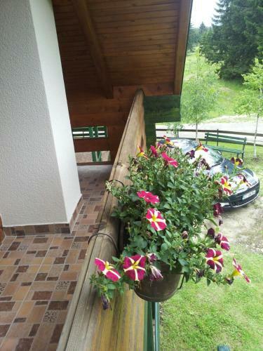 Holiday Home Stella Star