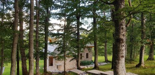 Villa Green Forest