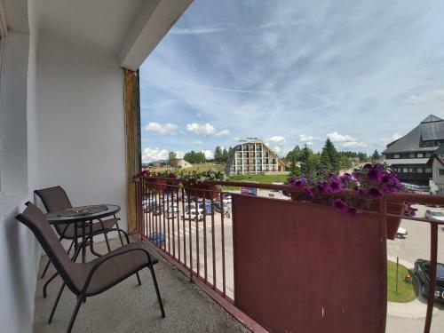 Apartment Zabljak Center