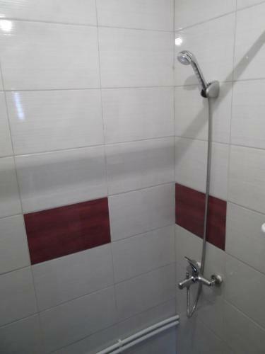 Apartamentos Petkovic Guesthouse