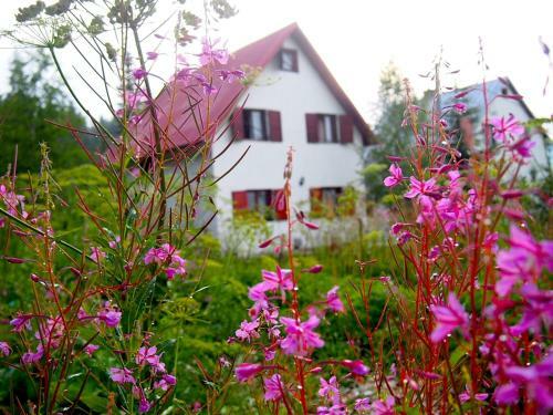 Hostal Krivacevic Guest House