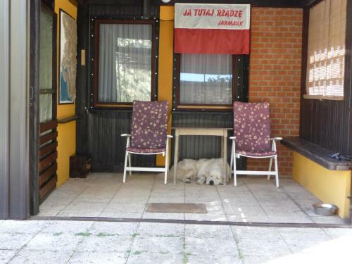 House On Village