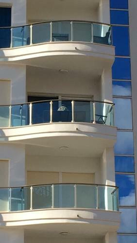 Apartments Dina