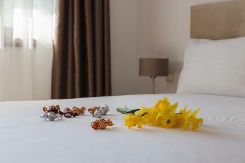 Aparthotel Anatolia