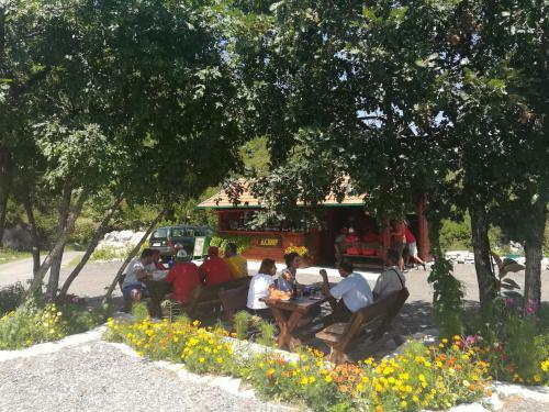 Camp Oaza,lipa