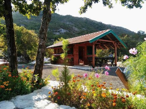 Camp Oaza,lipa