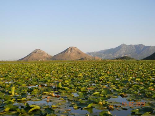 Skadar Lake Apartment