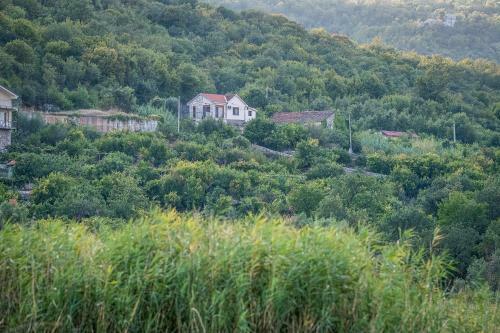 Haustor Skadar Lake
