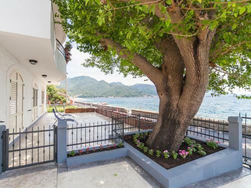 Apartments Balbo