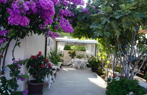 Hostal Guest House Villa Alea