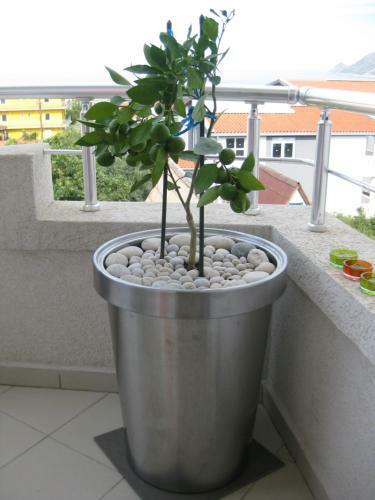 Hostal Guest House Villa Alea