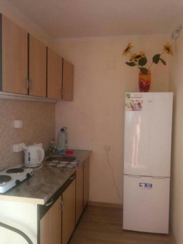 Apartment Dubrava 106