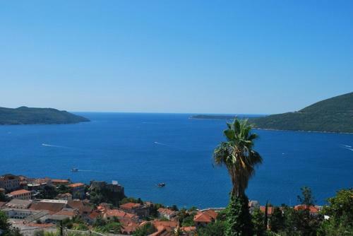 Holiday Home Panorama House