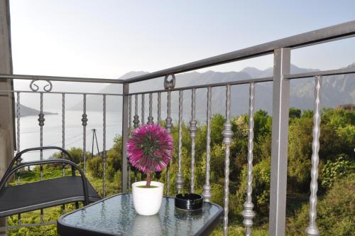 Apartment Maritimo