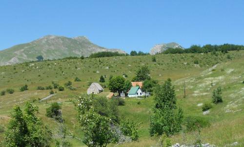 Agroturismo Suri