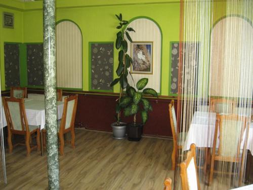 B&B Apolon