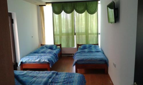 B&B Apolon