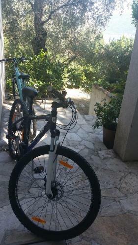Apartman Buljarica