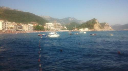 Apartman Ozi