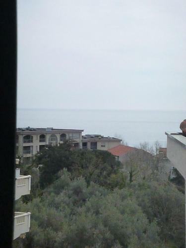 Apartman Ozi