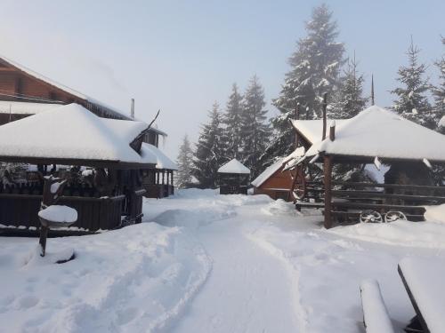 Hostal Panorama Karpat Yablunytsya