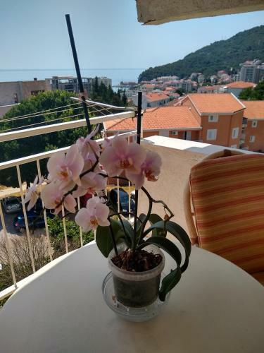 Apartmani Neda Bane