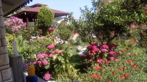 Villa Apartman Jovana