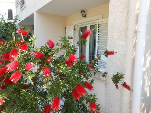 Apartments Maris