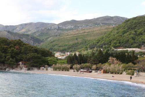 Seaview Apartment Petrovac