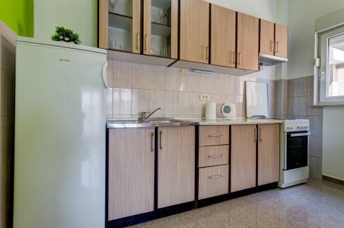 Nikola Pleasure Apartments