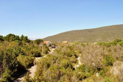 Apartments Villa-g Lustica