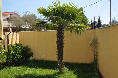 Apartments Villa-g Lustica
