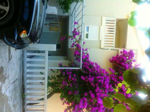 Family Apartments